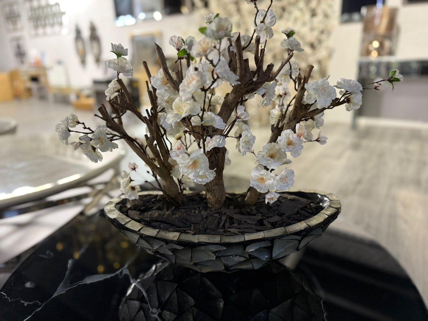 Orchidee Arrangement in Schelpvaas – Grijs